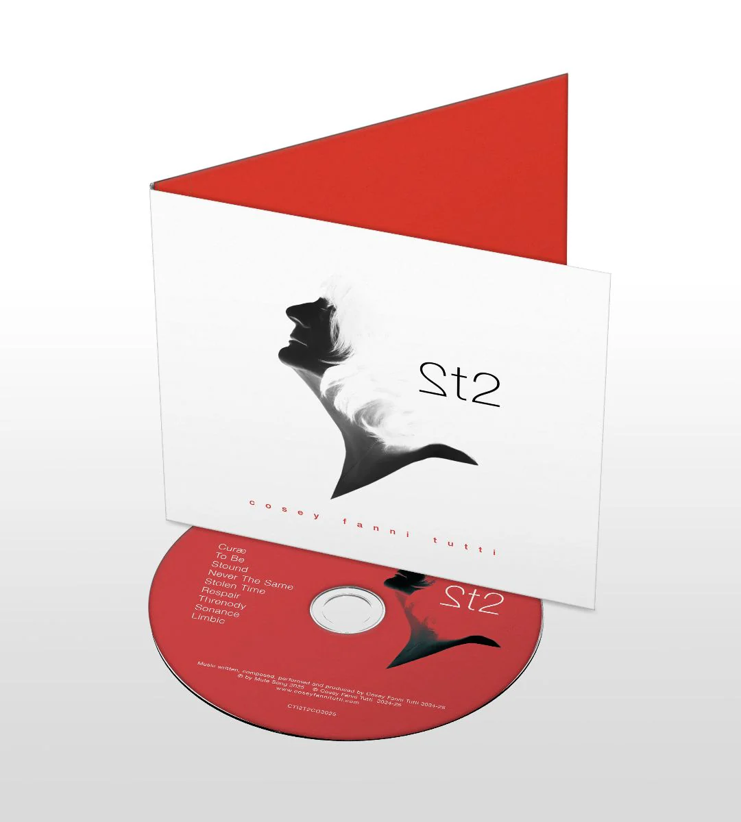 2t2 - Image 3