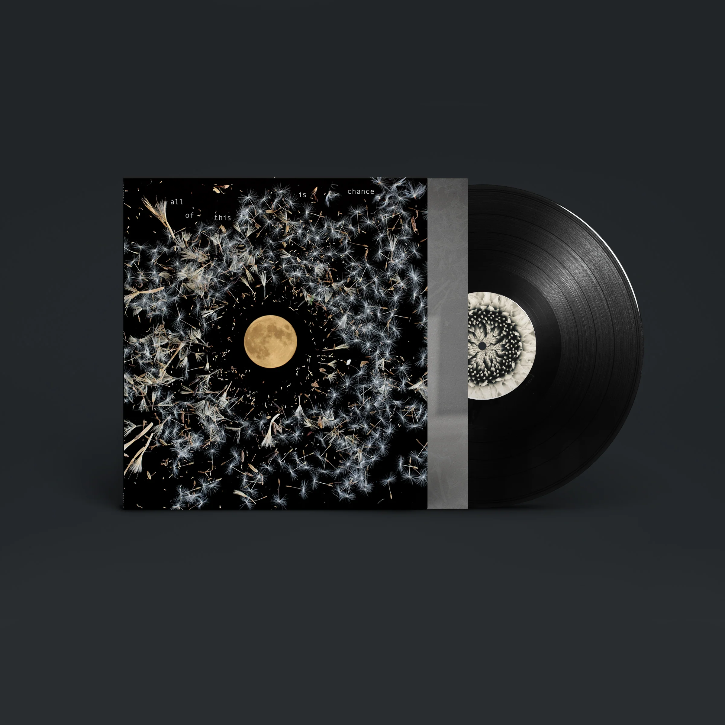 All Of This Is Chance - Image 3