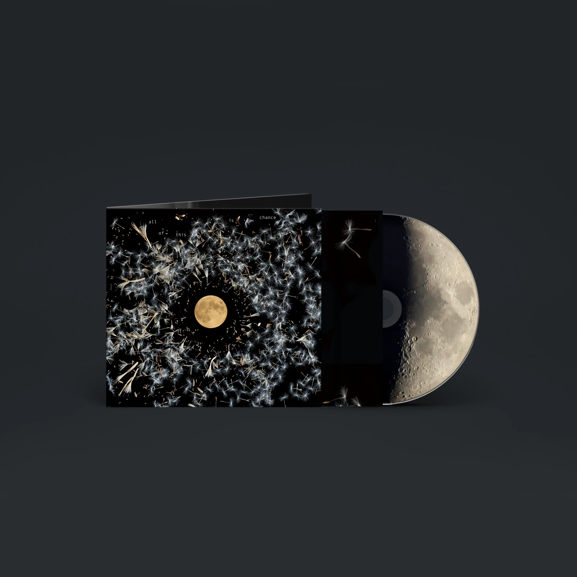 All Of This Is Chance - Image 4
