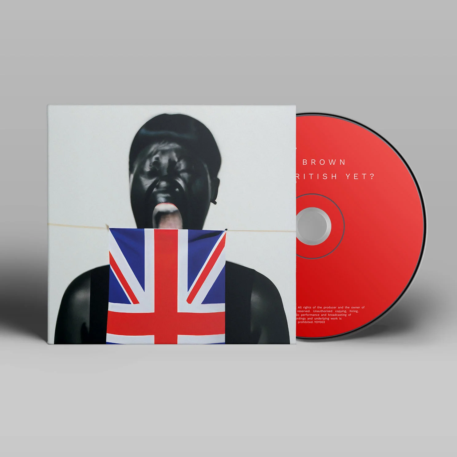 Am I British Yet? - Image 4