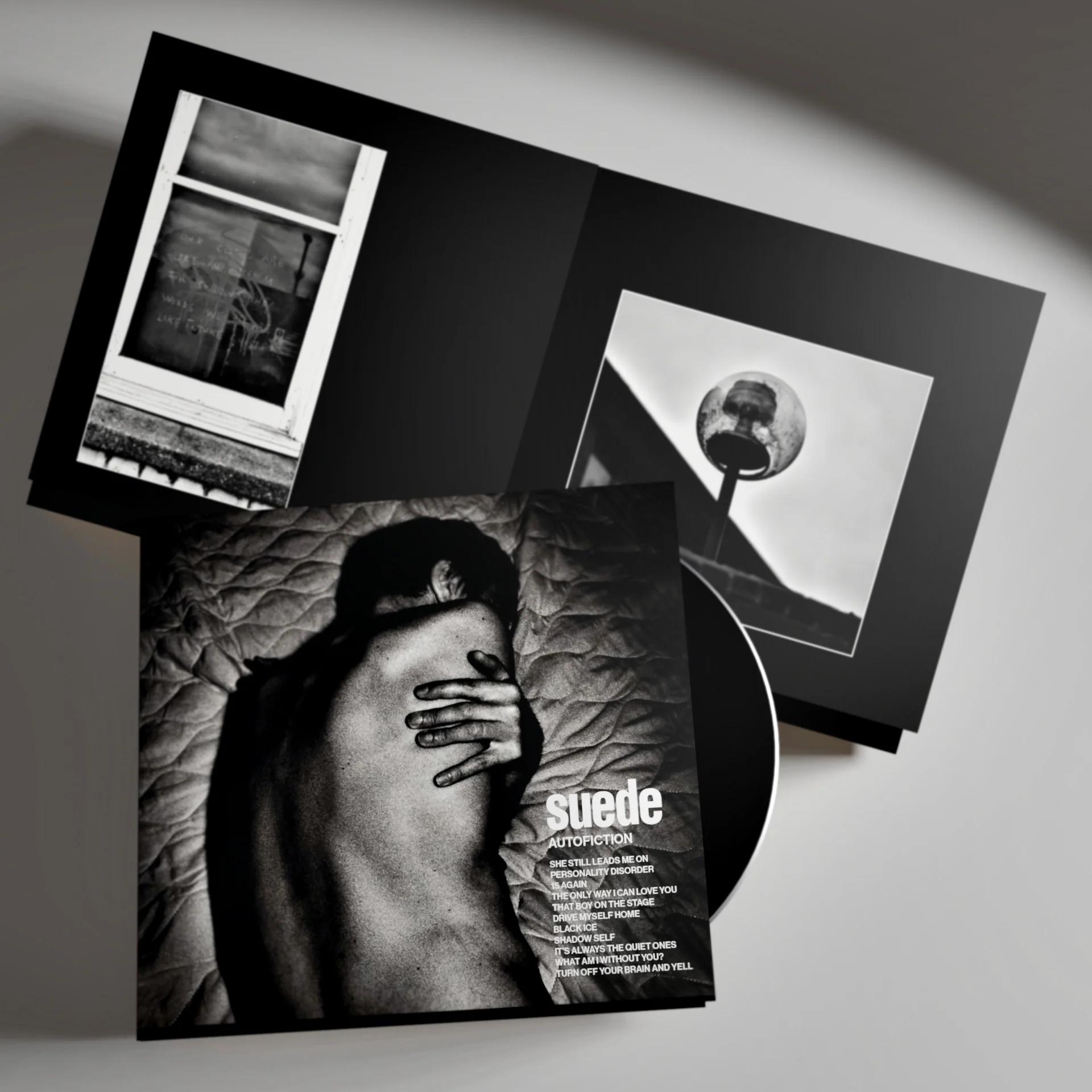 Autofiction - Image 4