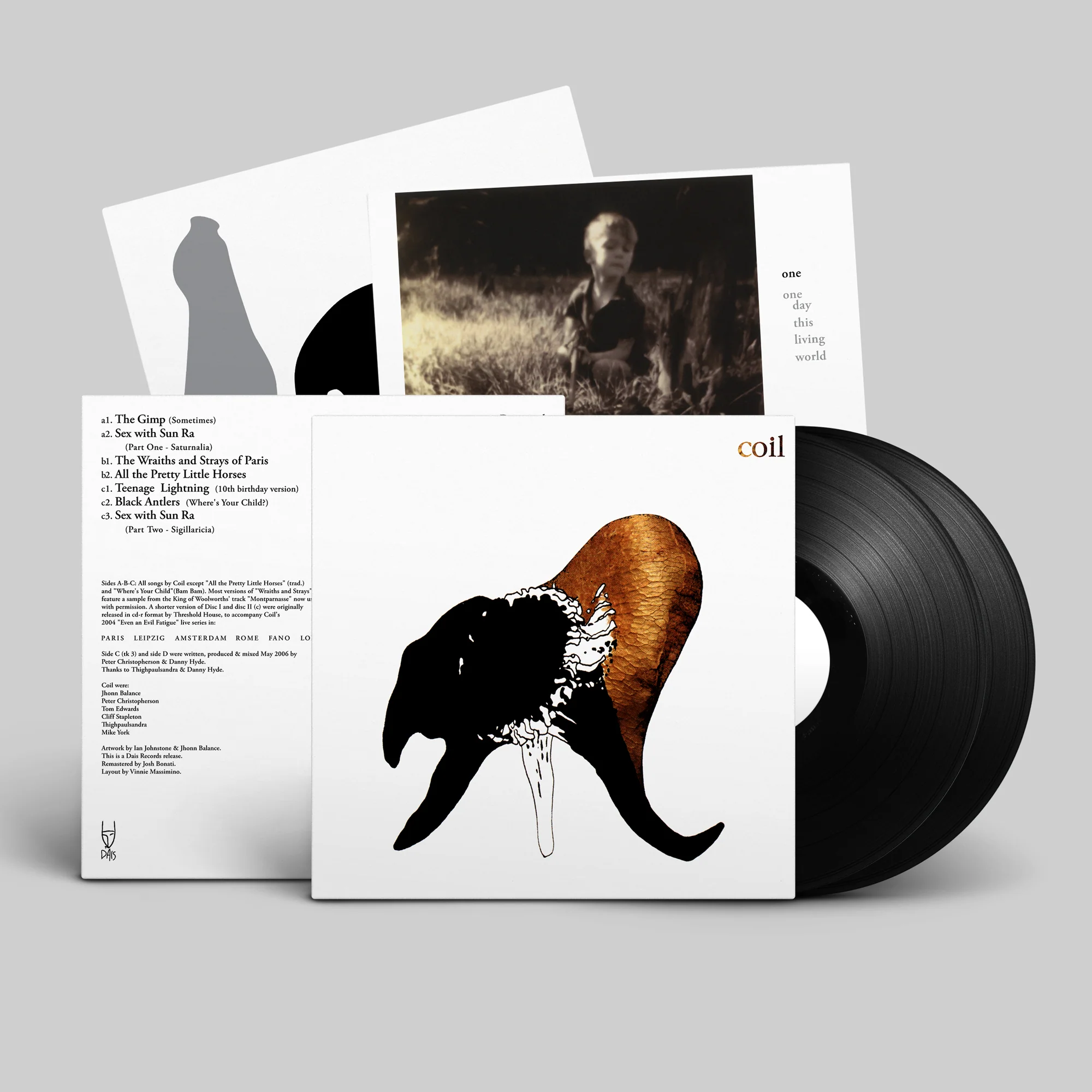 Black Antlers - Image 3