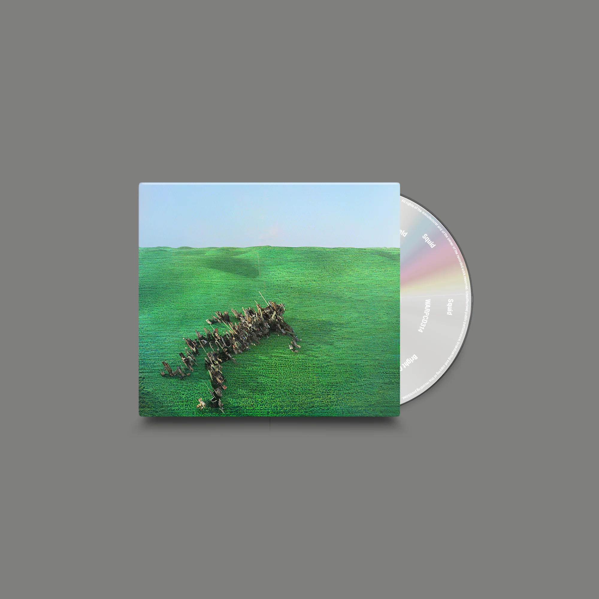 Bright Green Field - Image 4