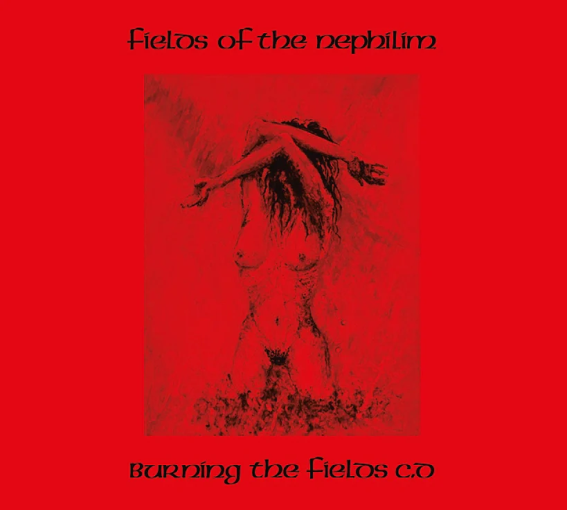 Burning The Fields - Image 2