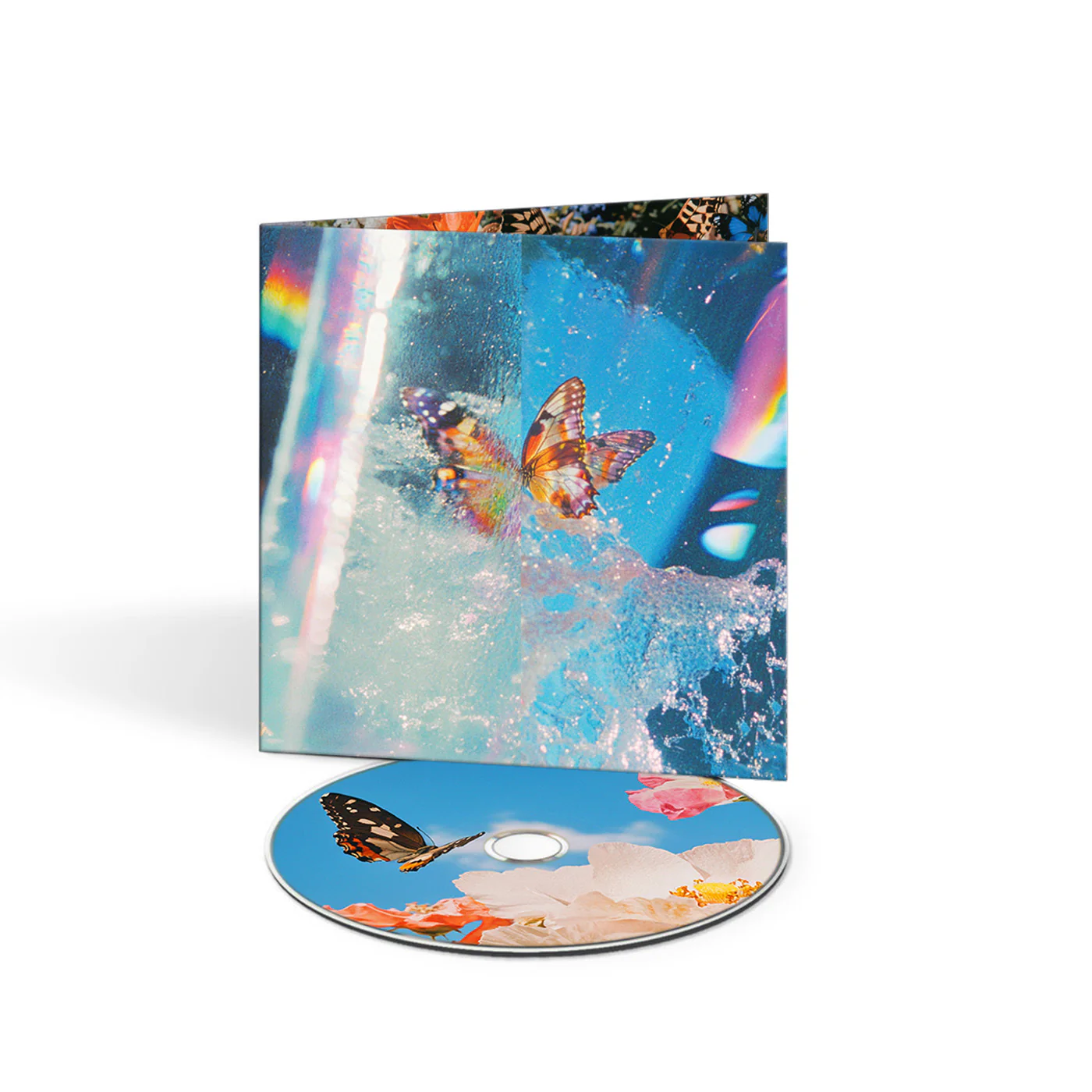 Butterfly - Image 4