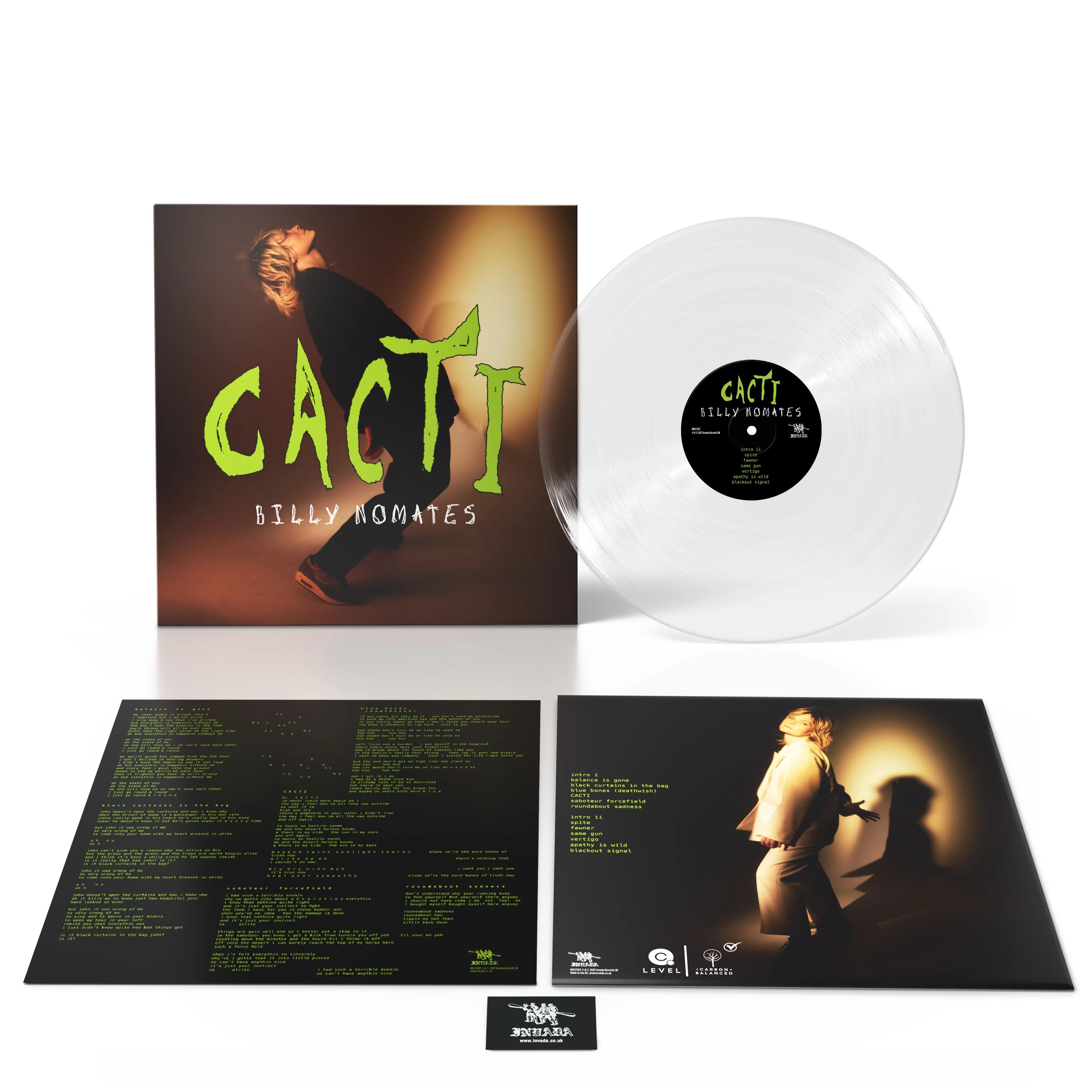 CACTI - Image 2