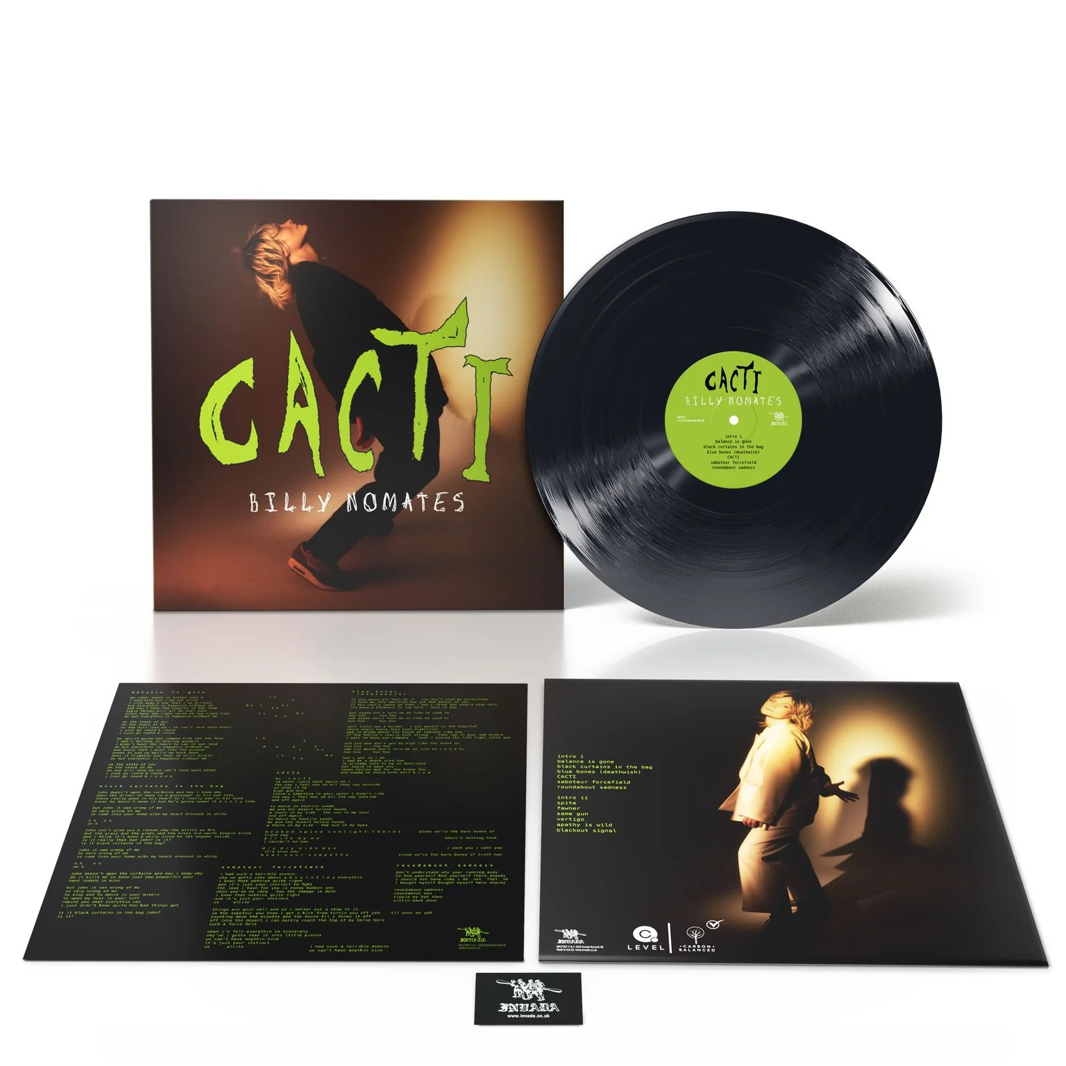 CACTI - Image 3
