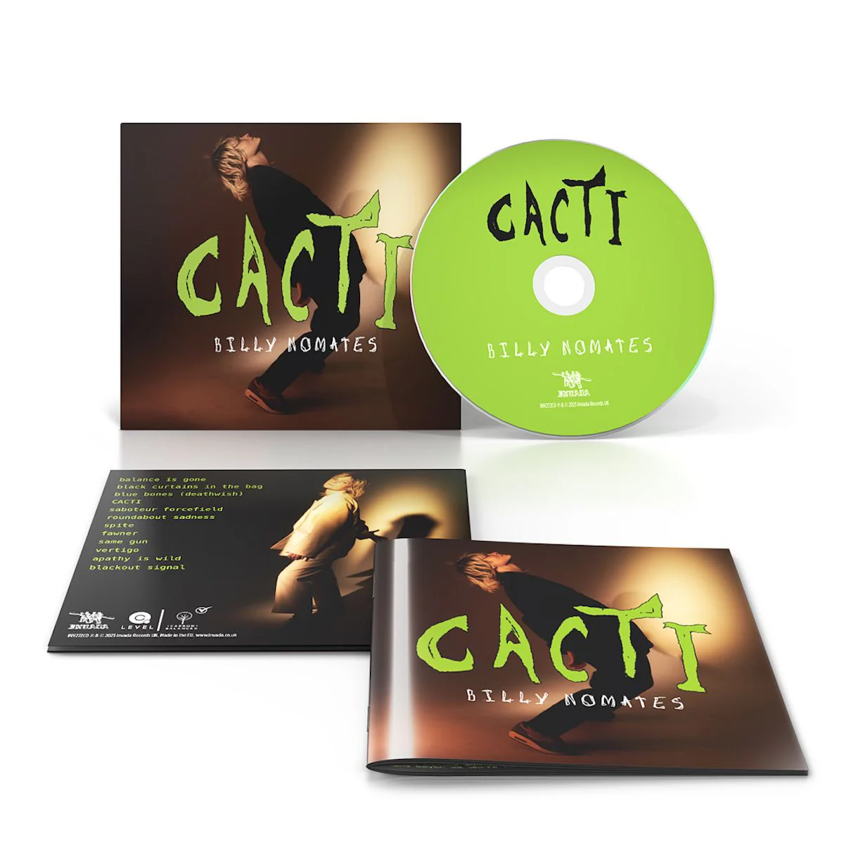 CACTI - Image 4