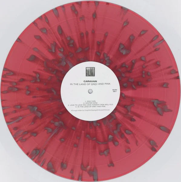 In The Land Of Grey And Pink (Reissue) - Image 2