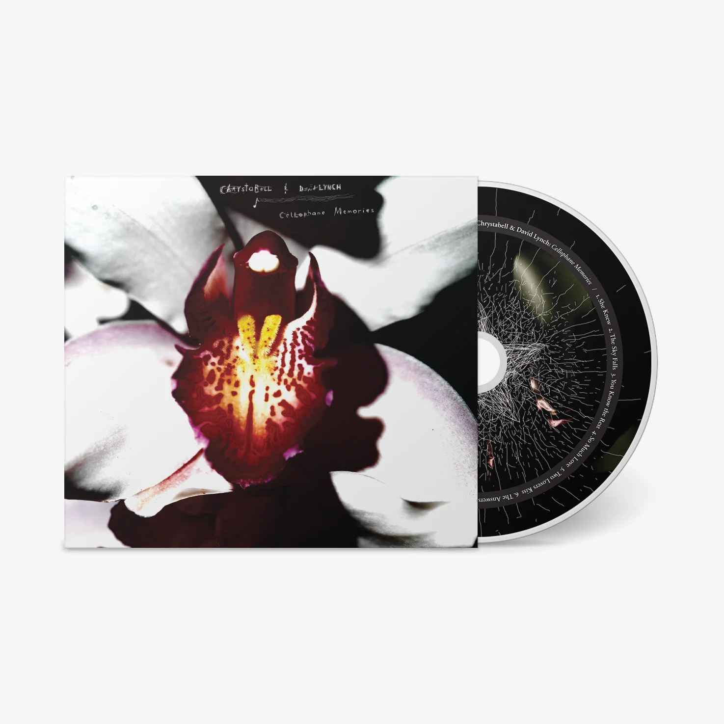 Cellophane Memories - Image 4