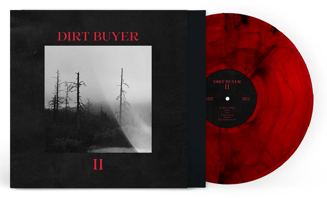 Dirt Buyer II - Image 2