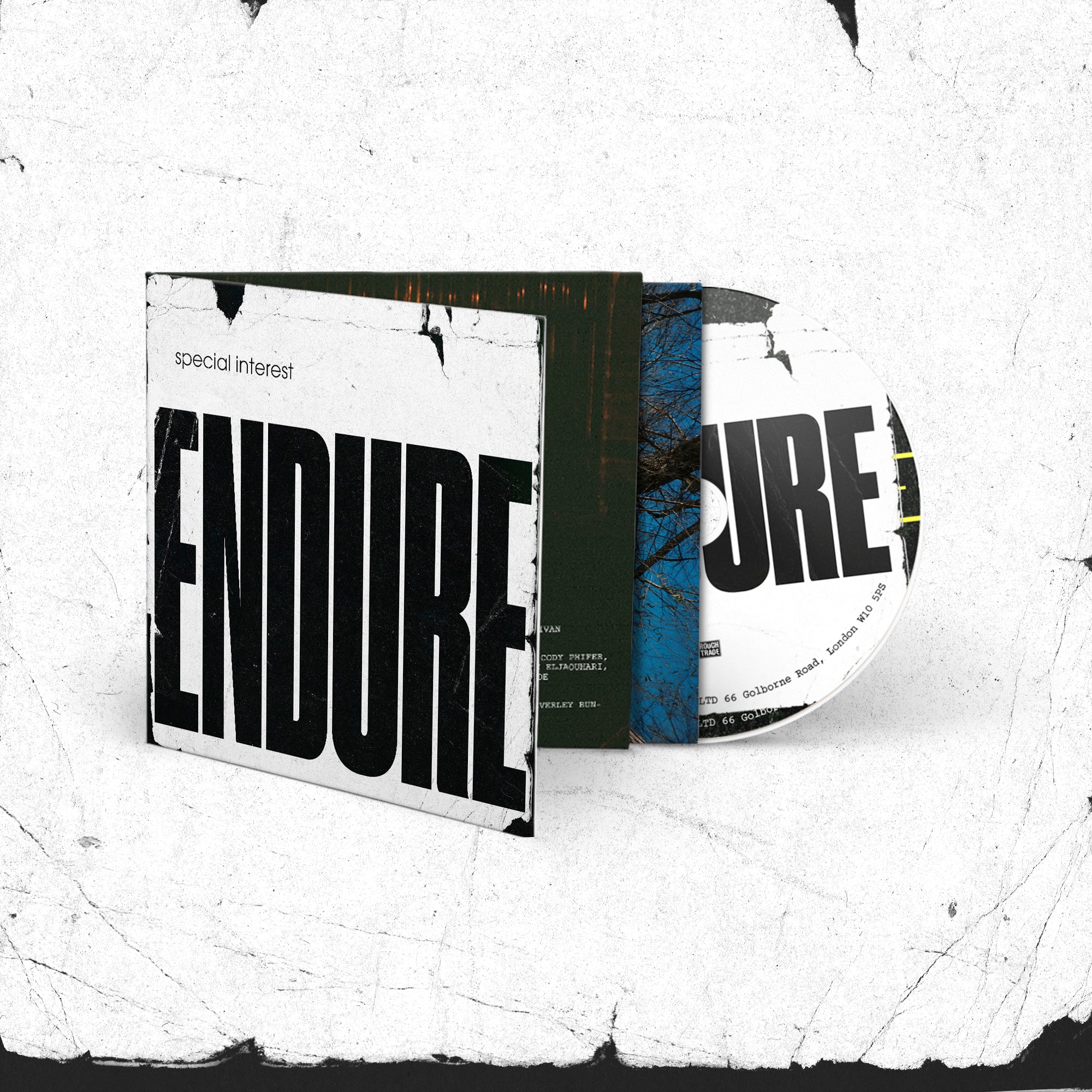 Endure - Image 4