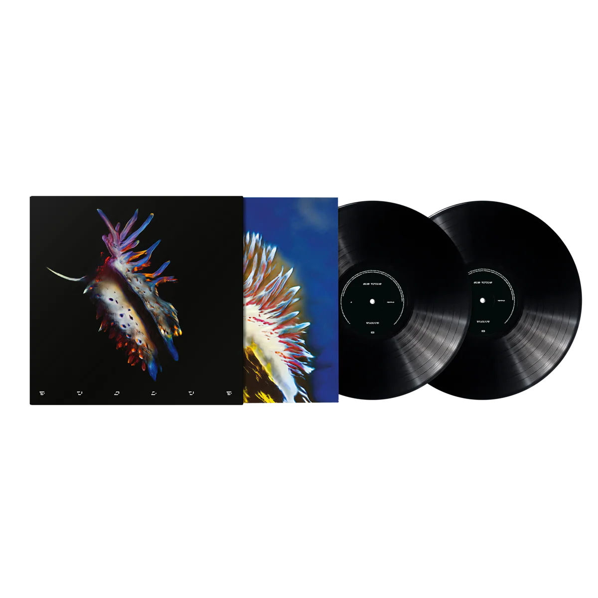 Evolve - Image 3