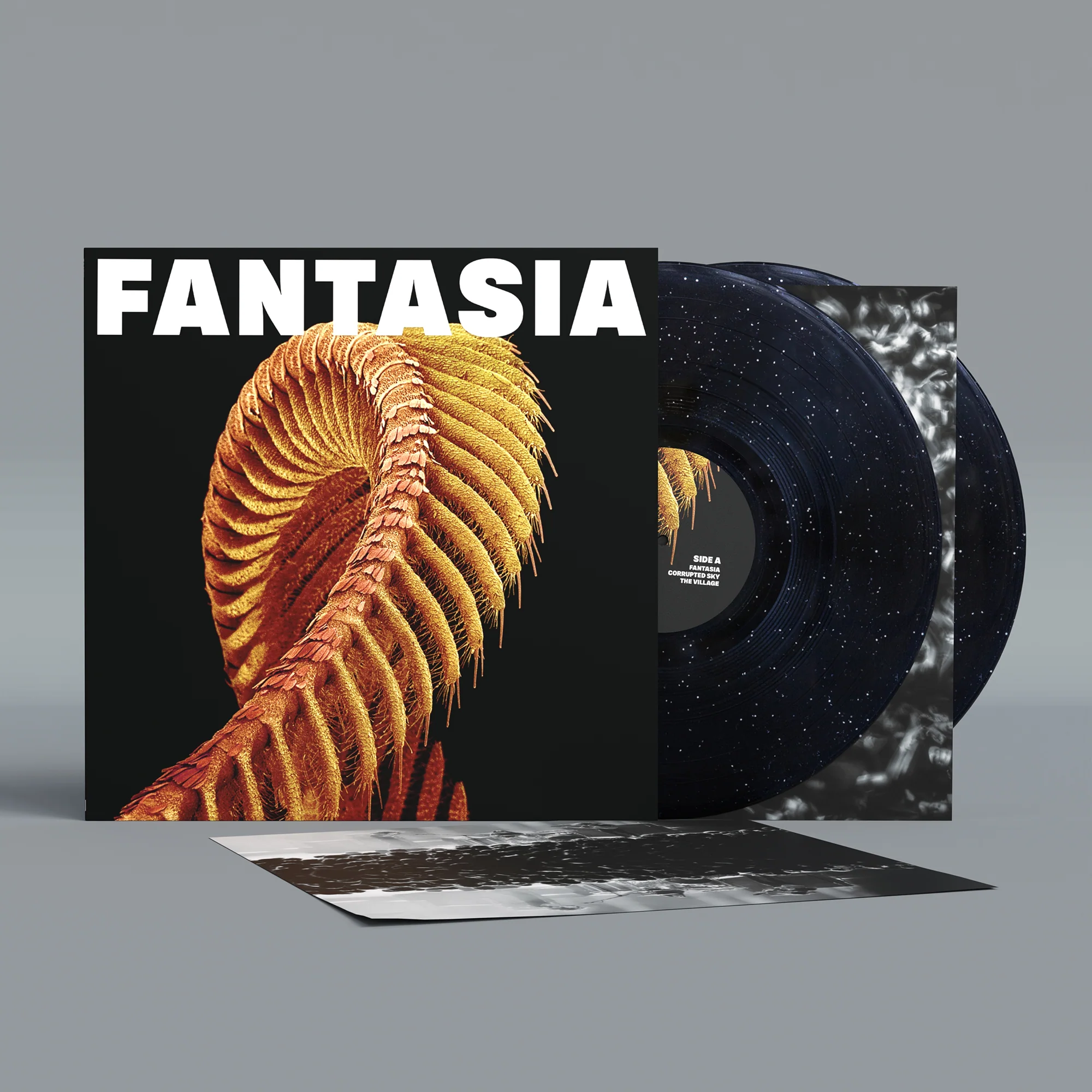 Fantasia - Image 2