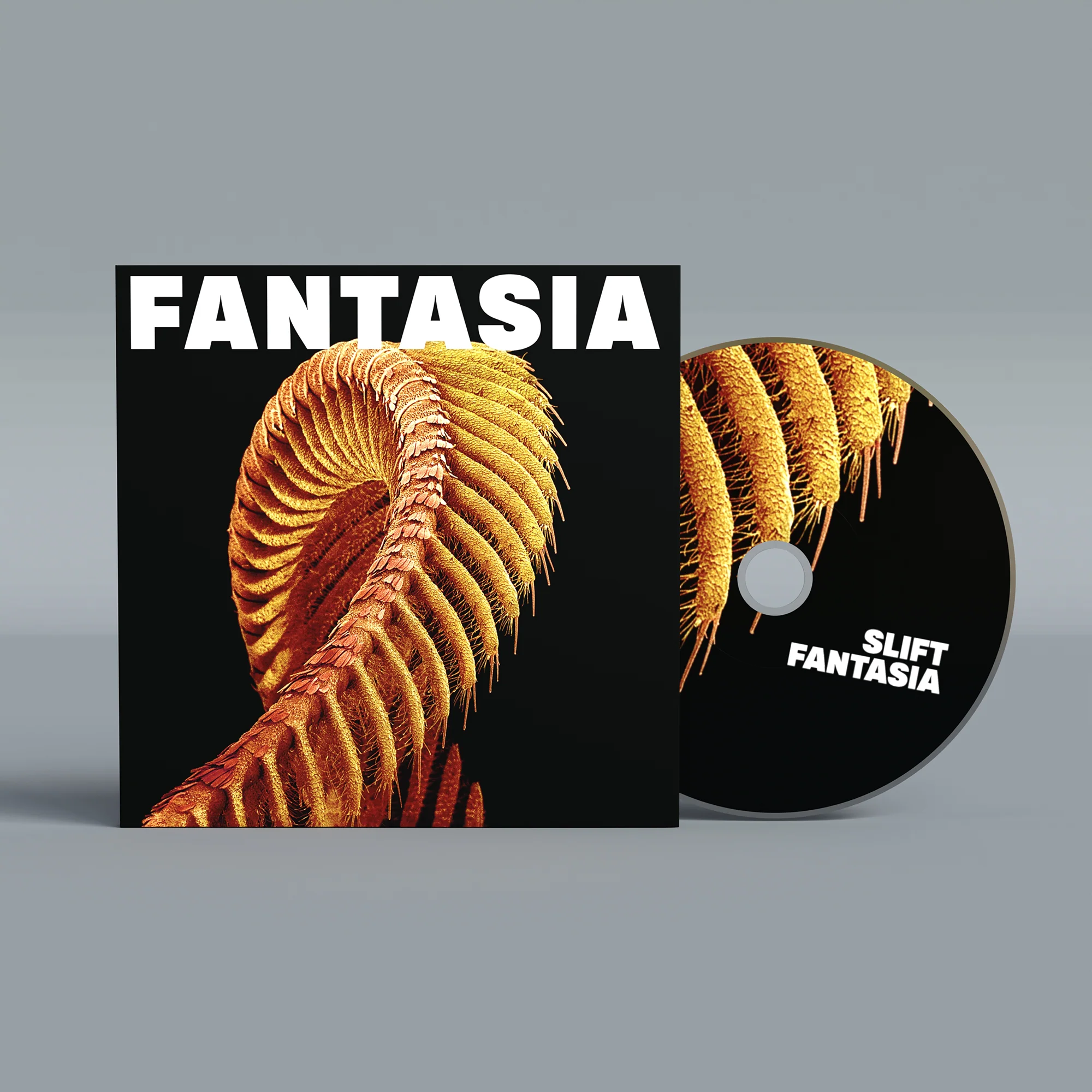 Fantasia - Image 3