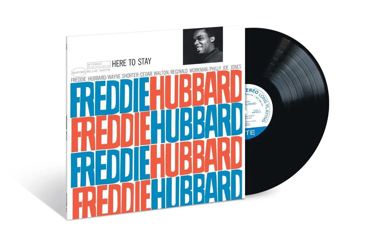 Here To Stay - Image 2
