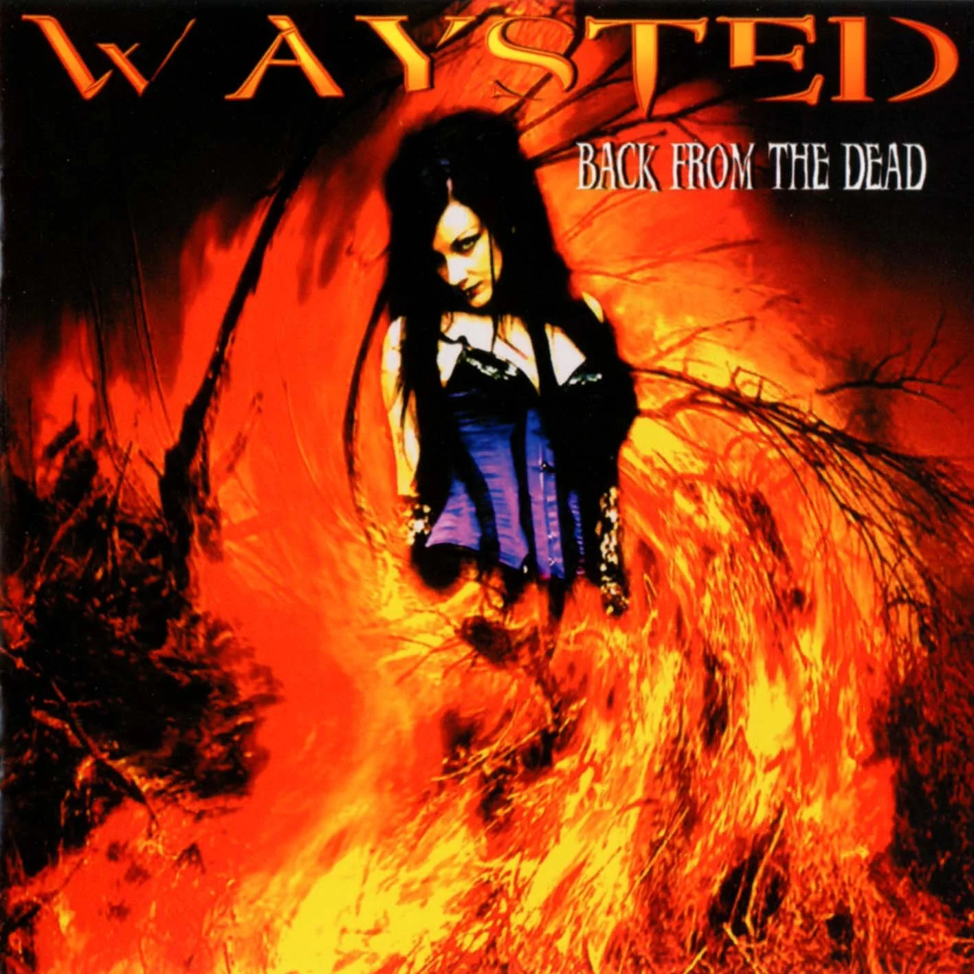 Heroes Die Young: Waysted Vol. 2 (2000-2007) - Image 2