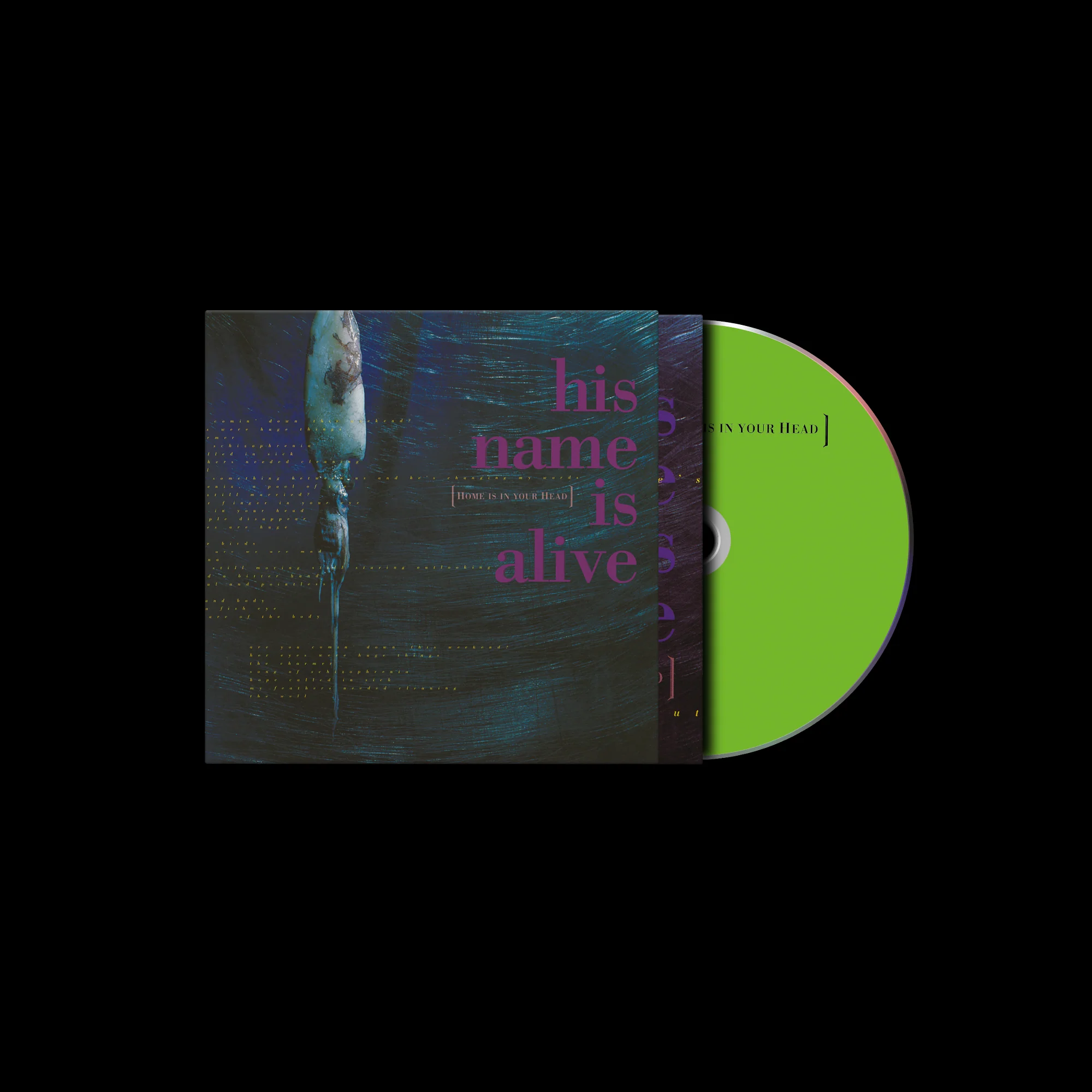 Home Is In Your Head (2024 Remastered Edition) - Image 3
