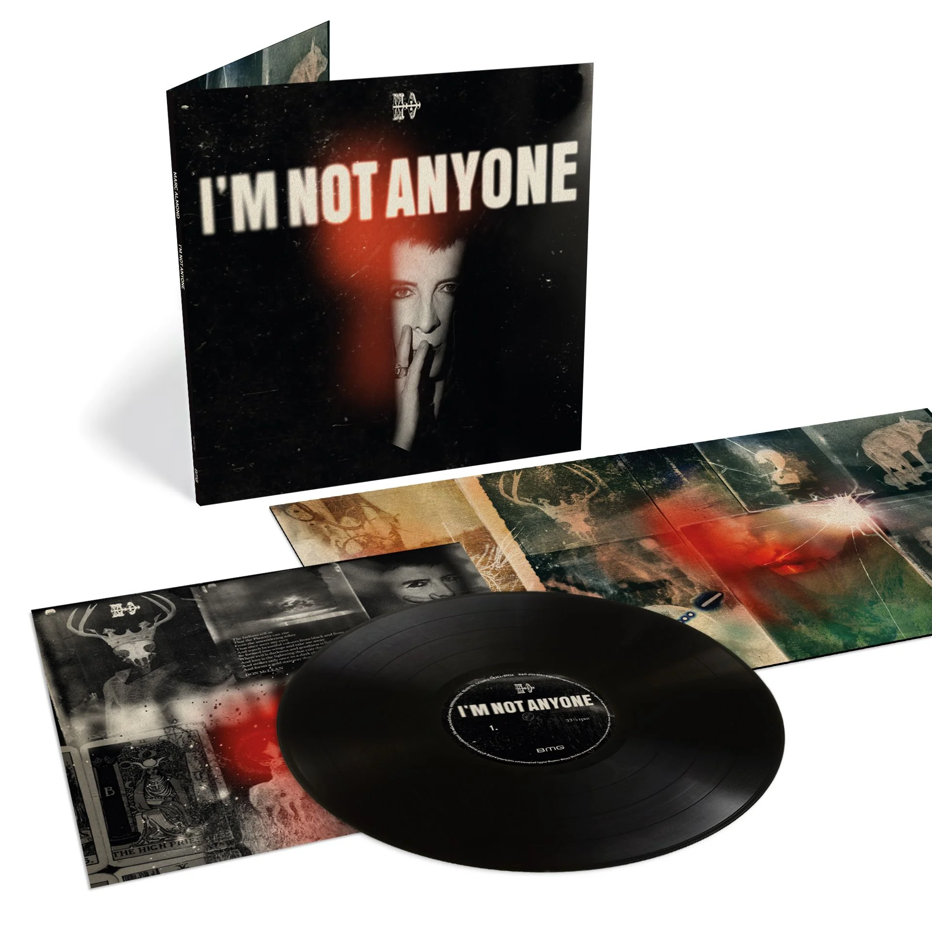 I’m Not Anyone - Image 2