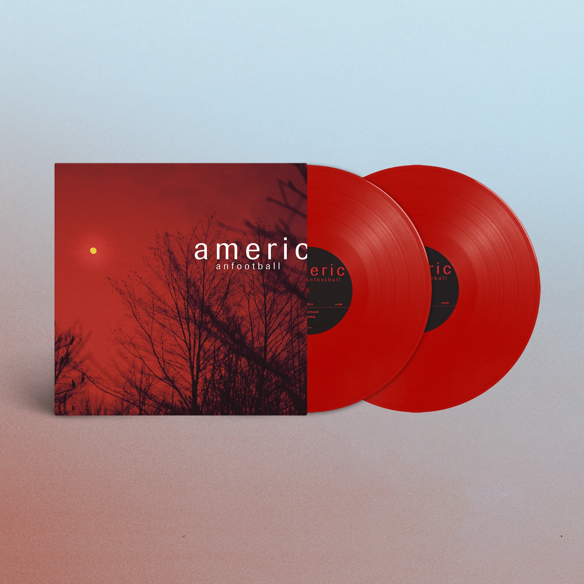 LP4 - Image 3