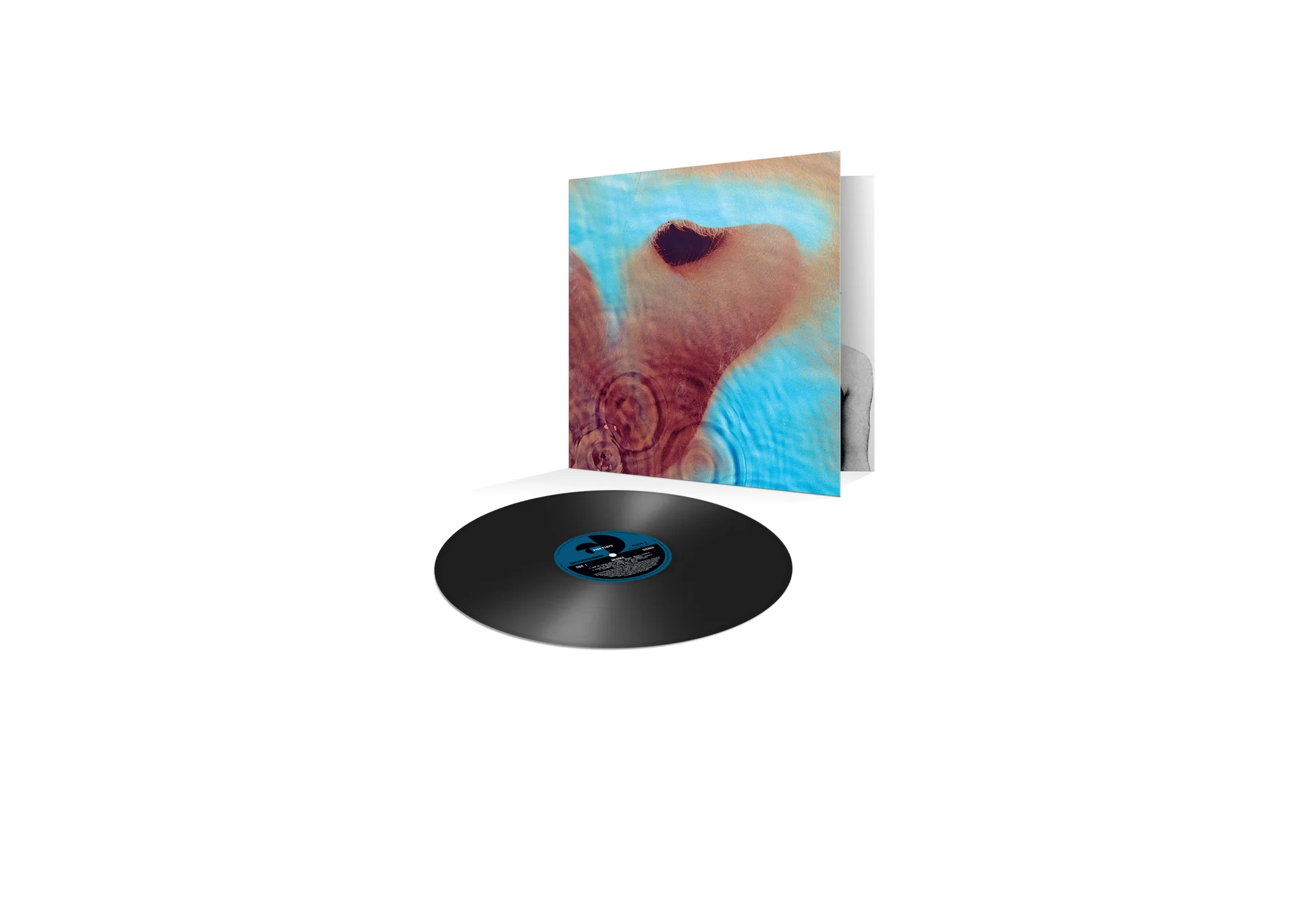 Meddle  (2025 Reissue) - Image 2