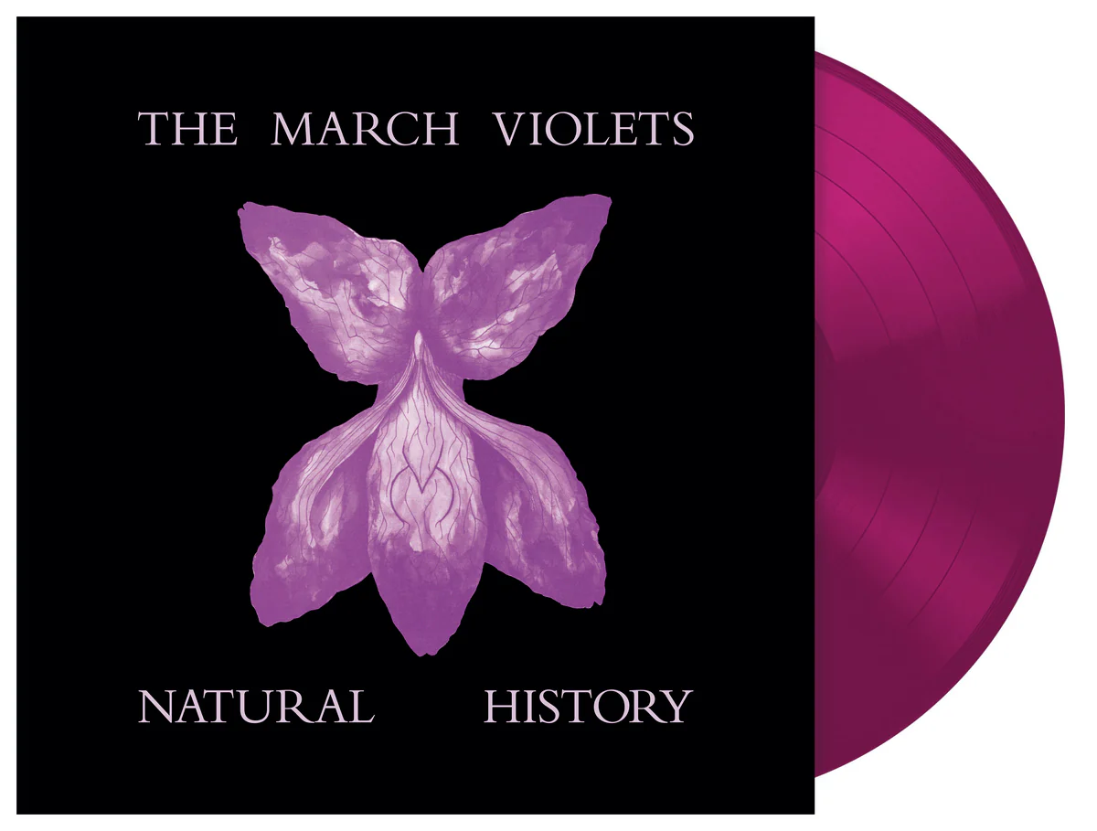 Natural History (RSD 2026) - Image 2