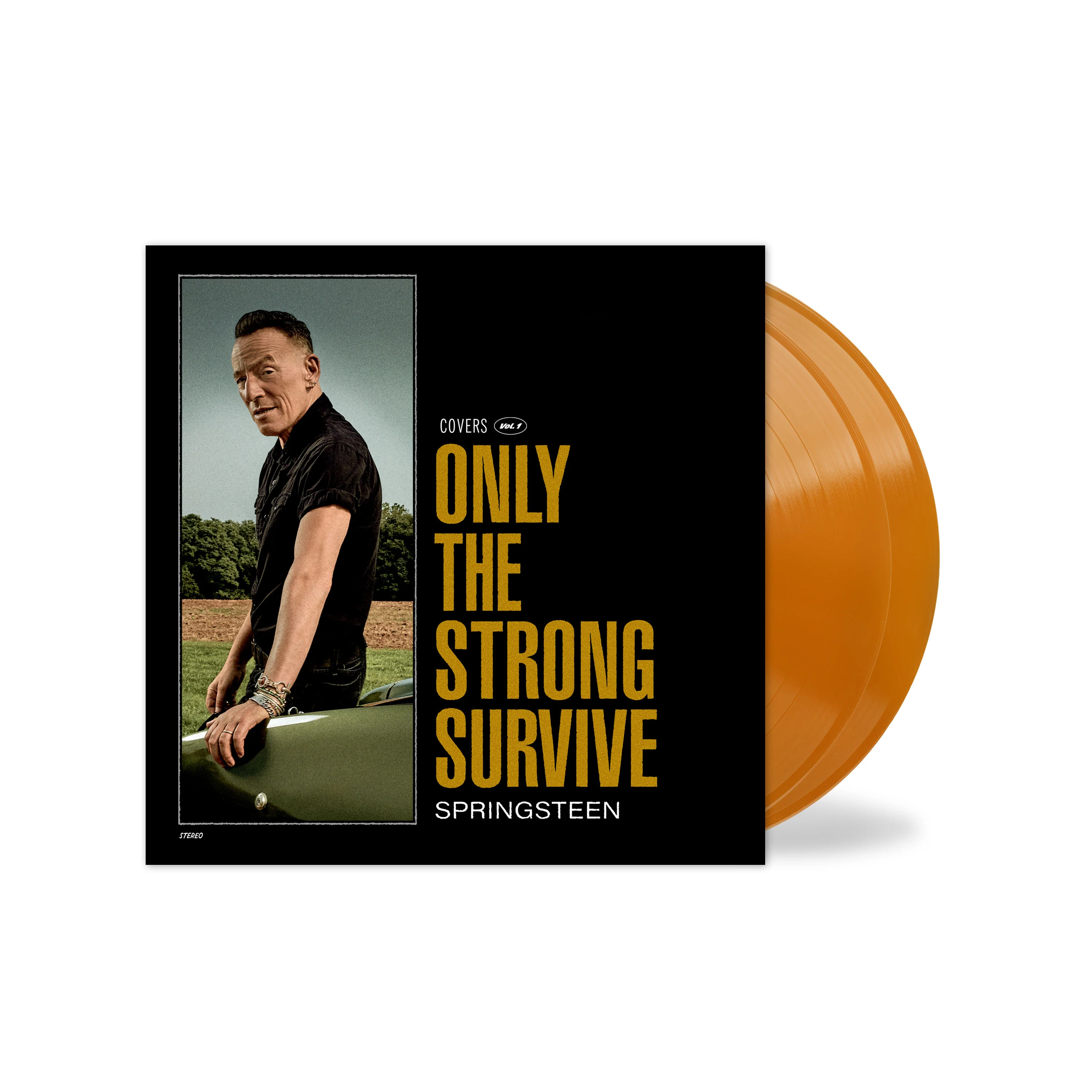 Only The Strong Survive - Image 2