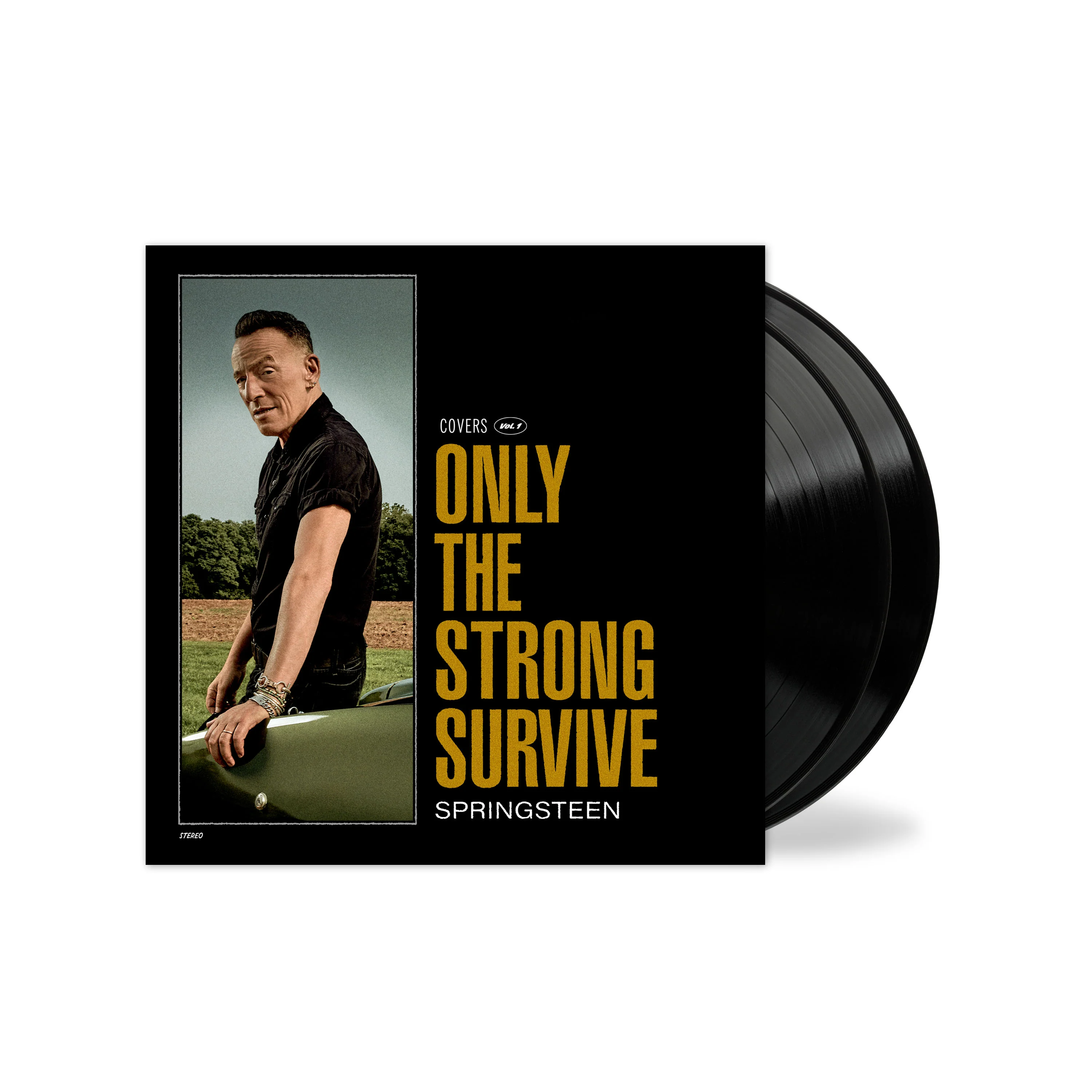 Only The Strong Survive - Image 3