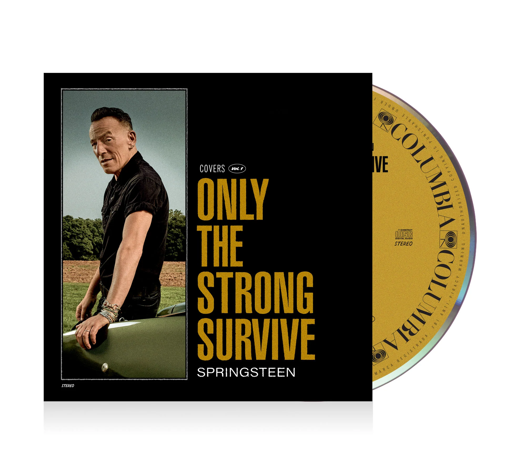 Only The Strong Survive - Image 4