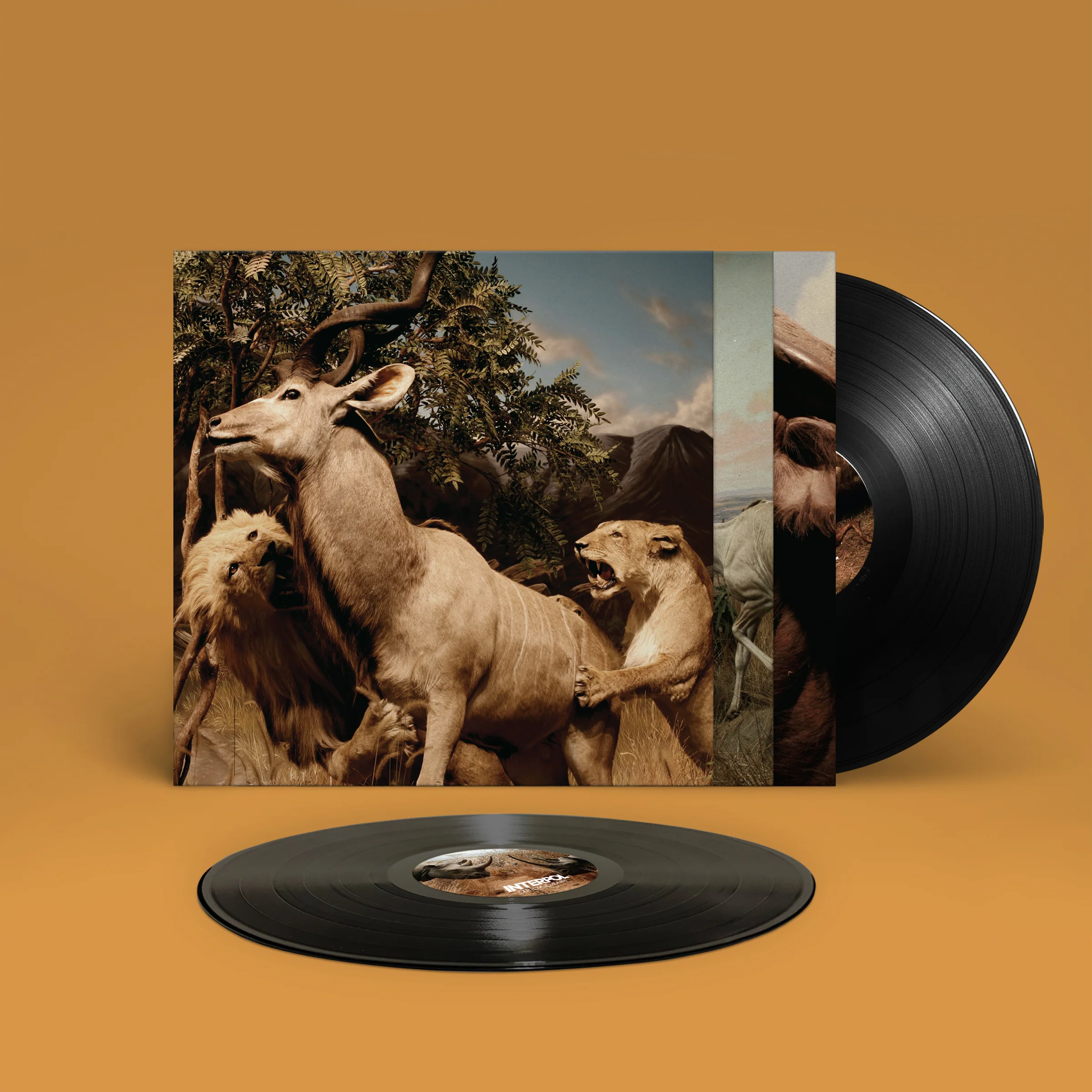 Our Love To Admire (2020 Reissue) - Image 2