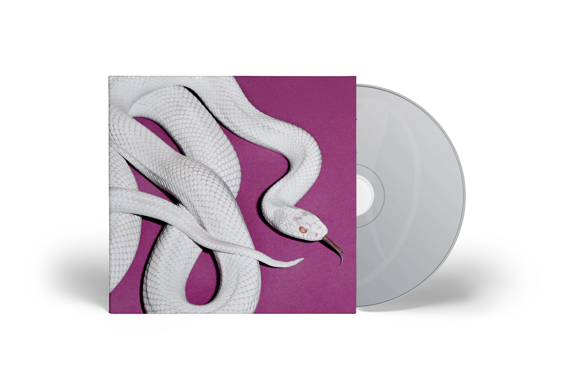 private music - Image 3