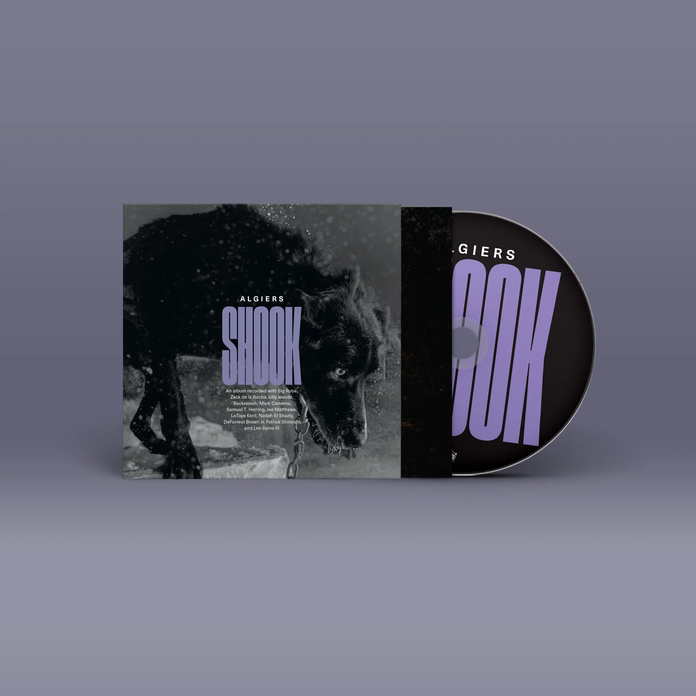 Shook - Image 3
