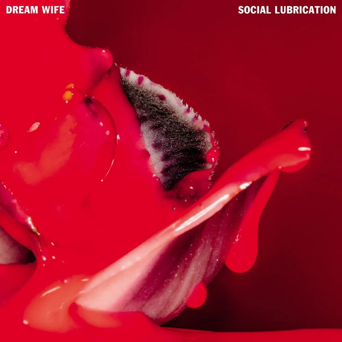 Social Lubrication - Image 3