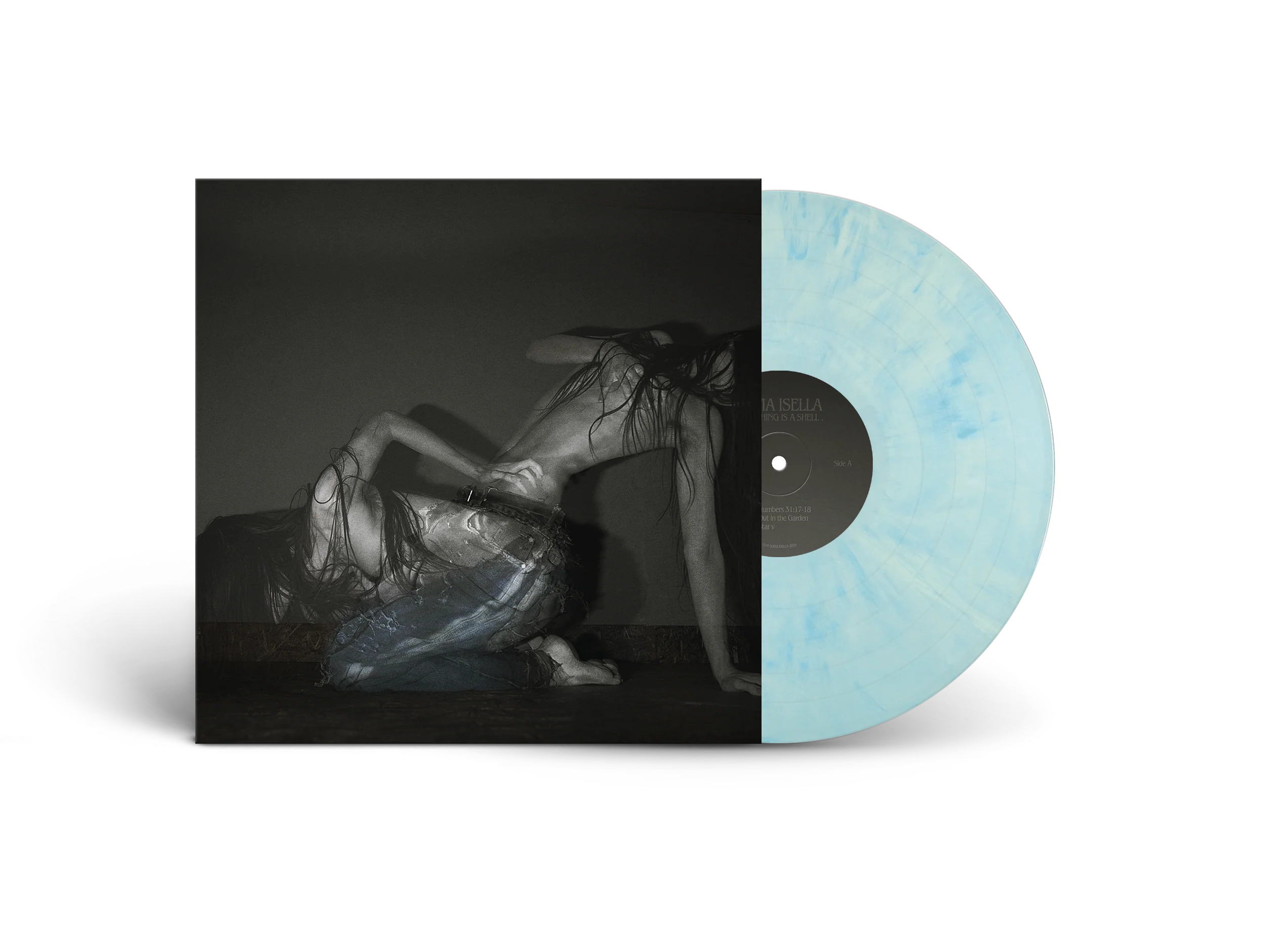 Something Is A Shell - Image 3