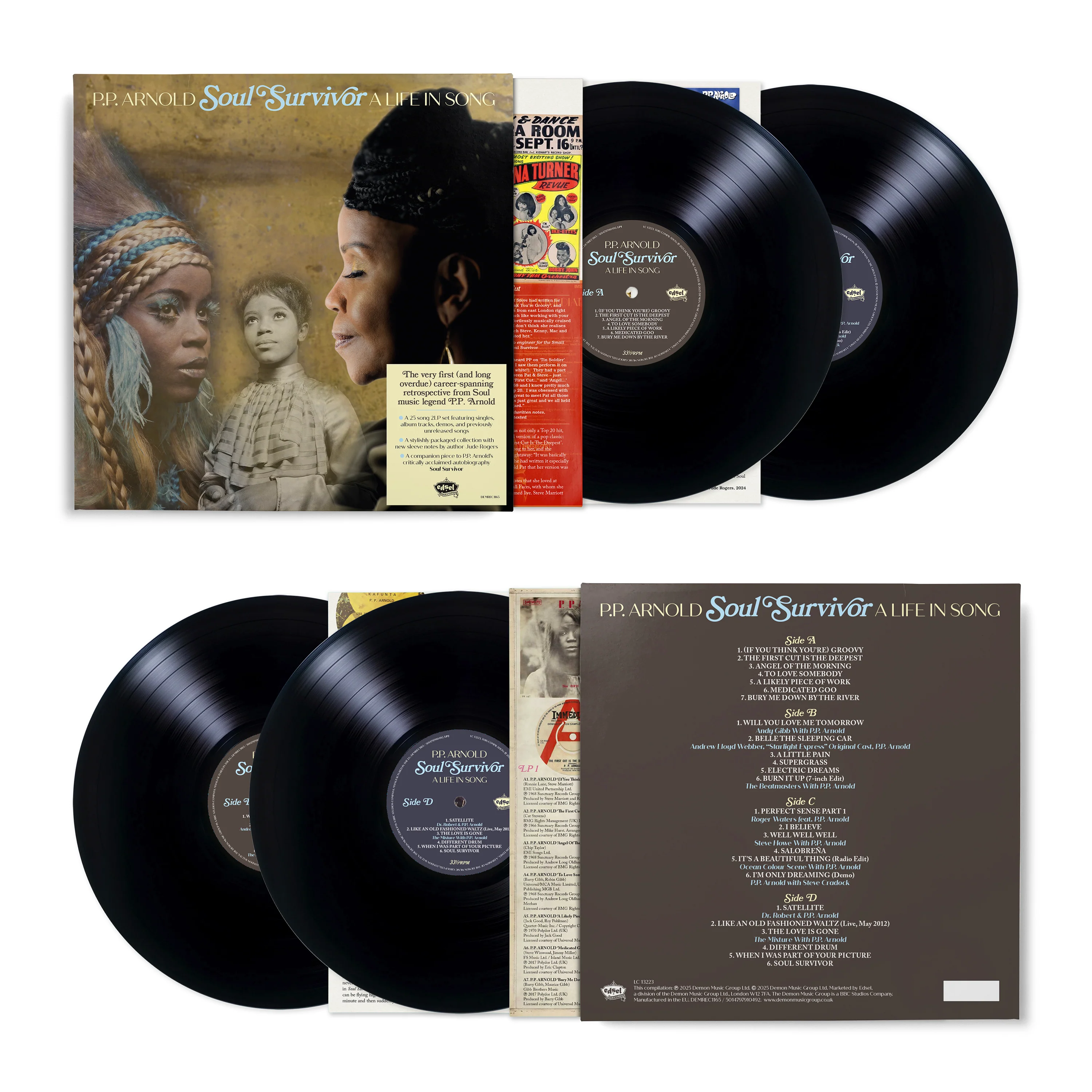 Soul Survivor: A Life In Song - Image 2