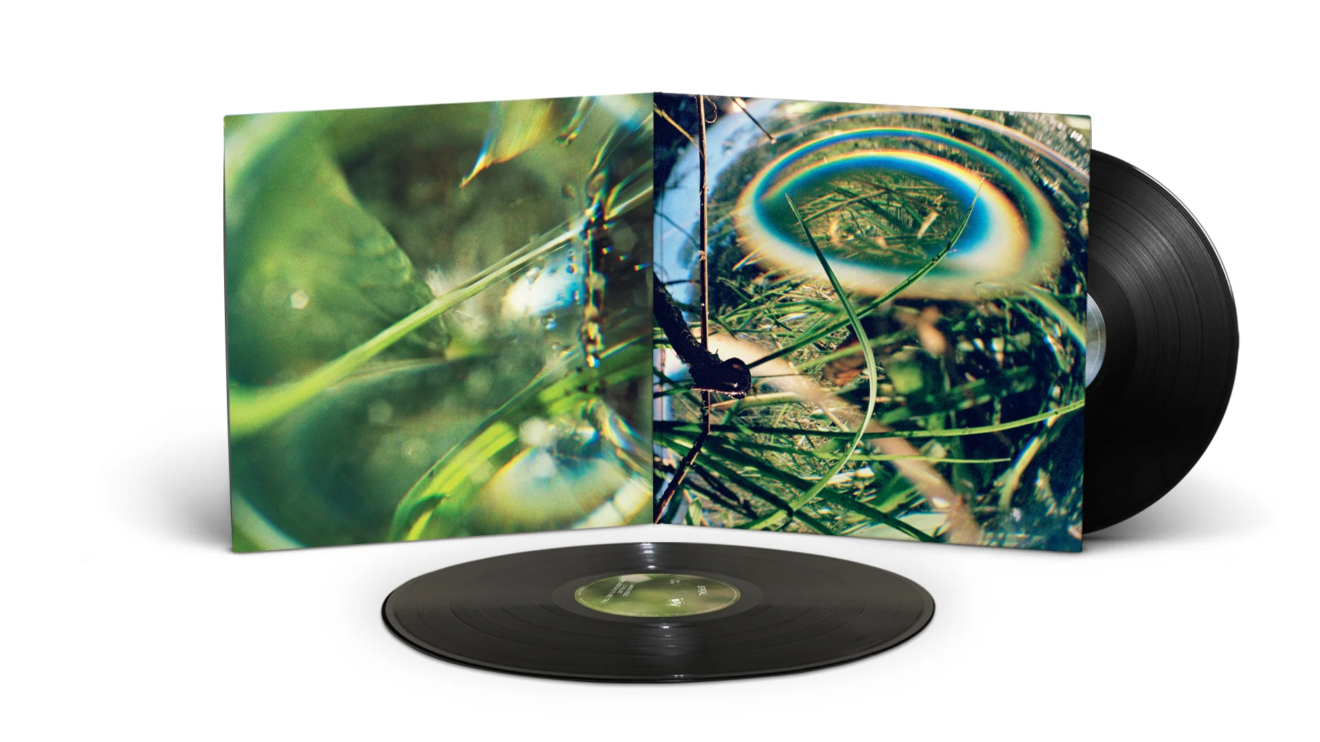 Spiral - Image 4