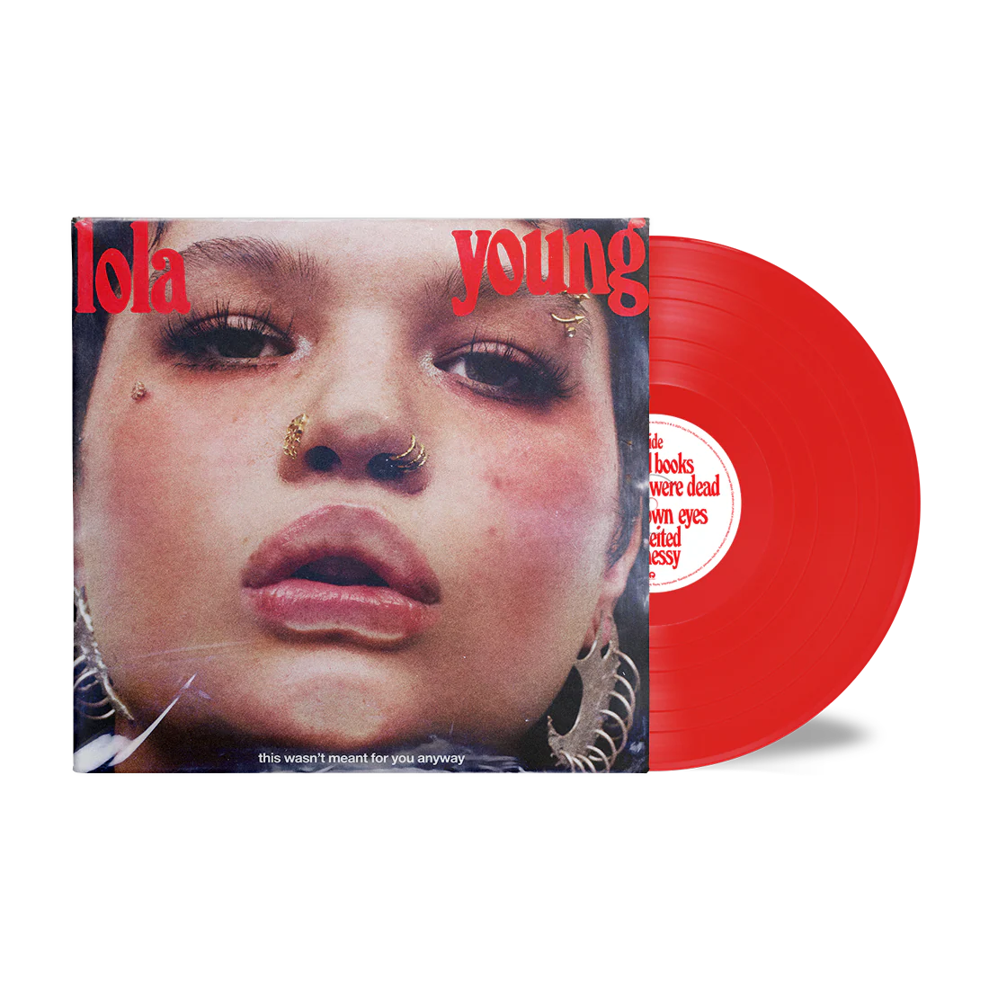 This Wasn't Meant For You Anyway - Image 2