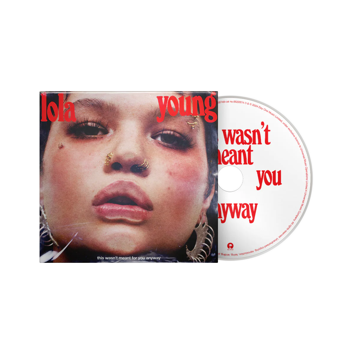 This Wasn't Meant For You Anyway - Image 4