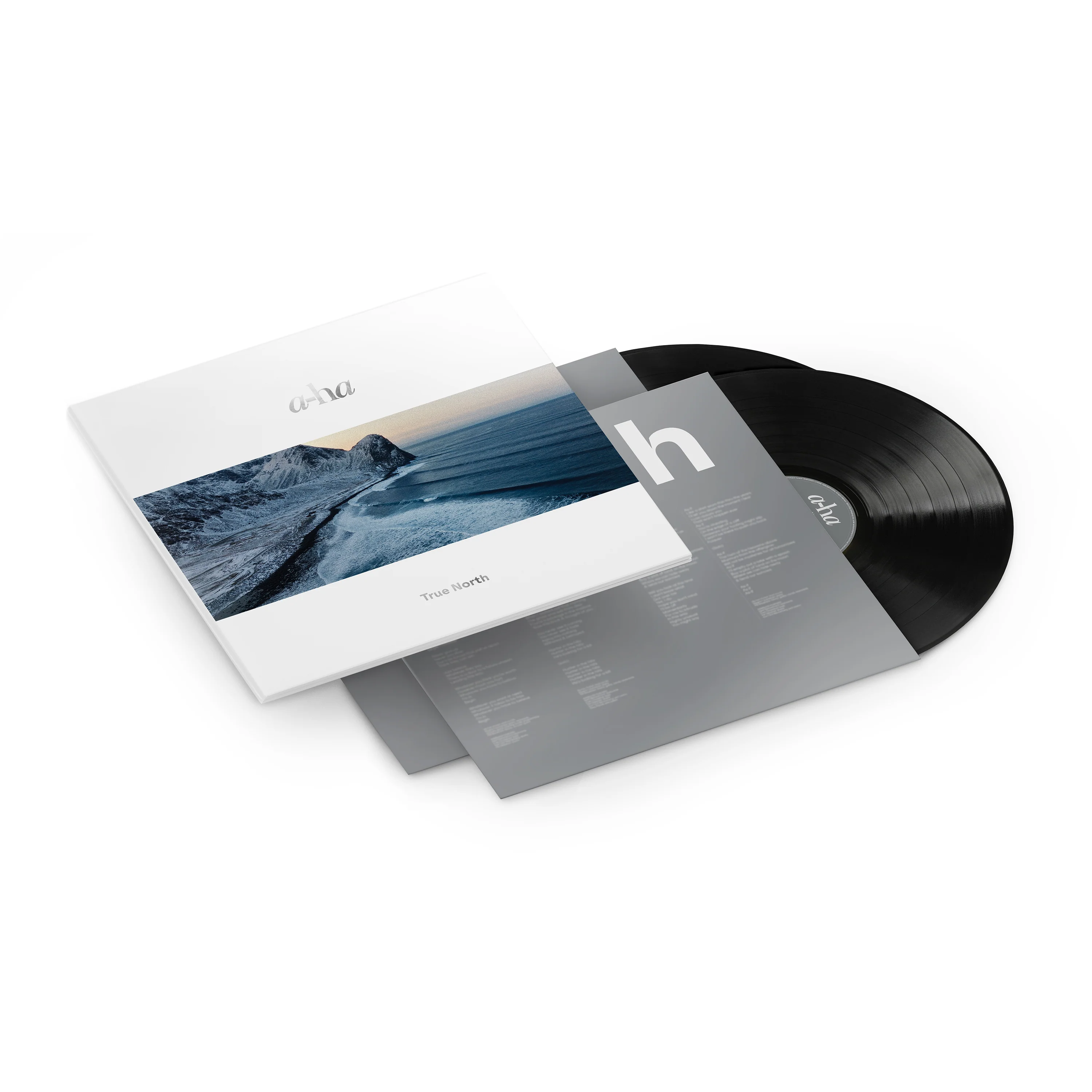 True North - Image 2