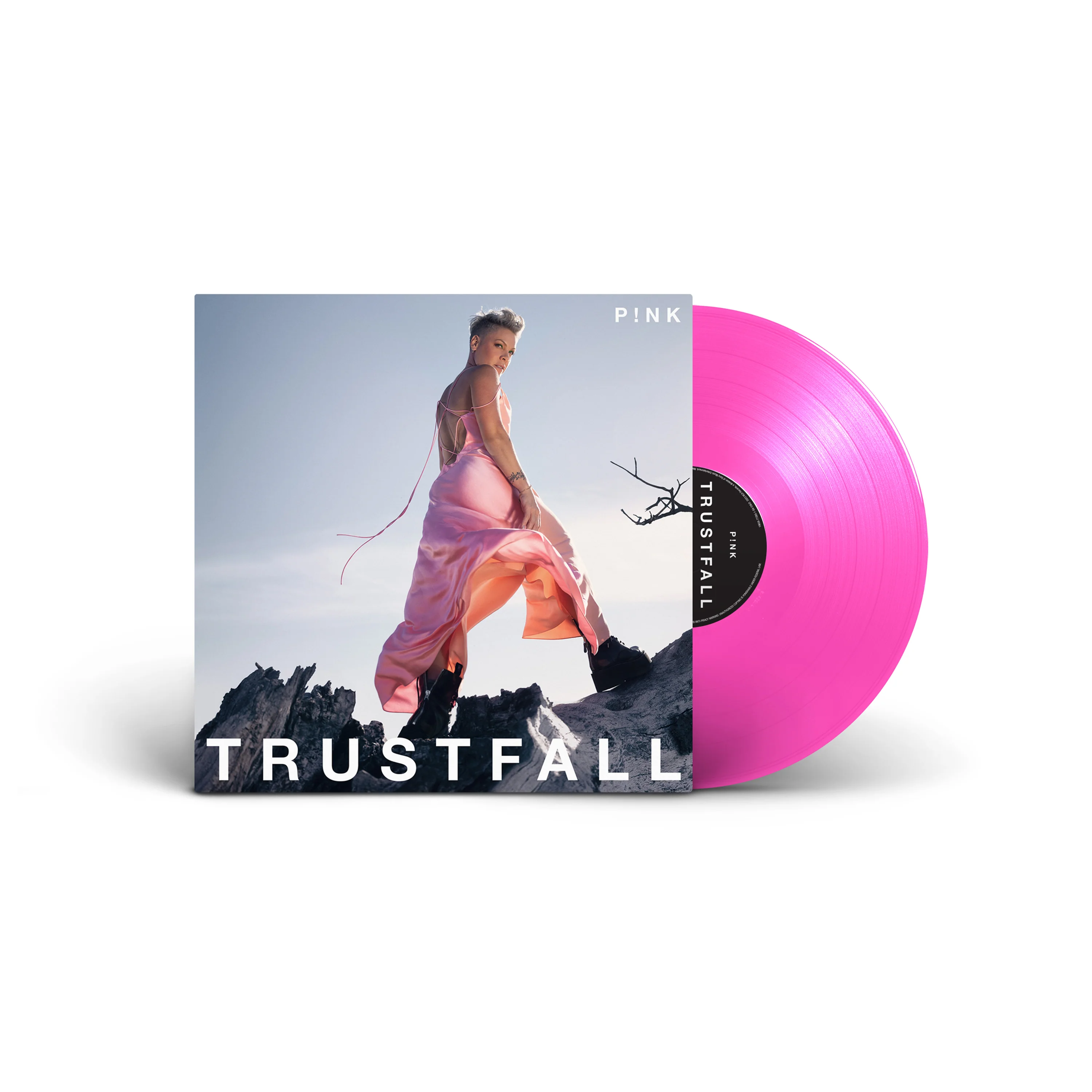 Trustfall - Image 2