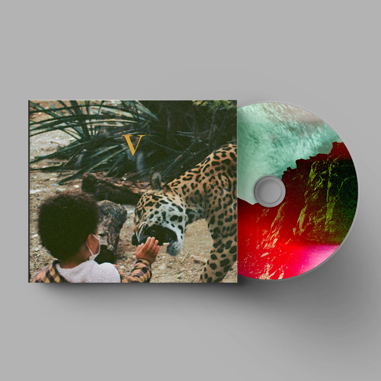V - Image 4