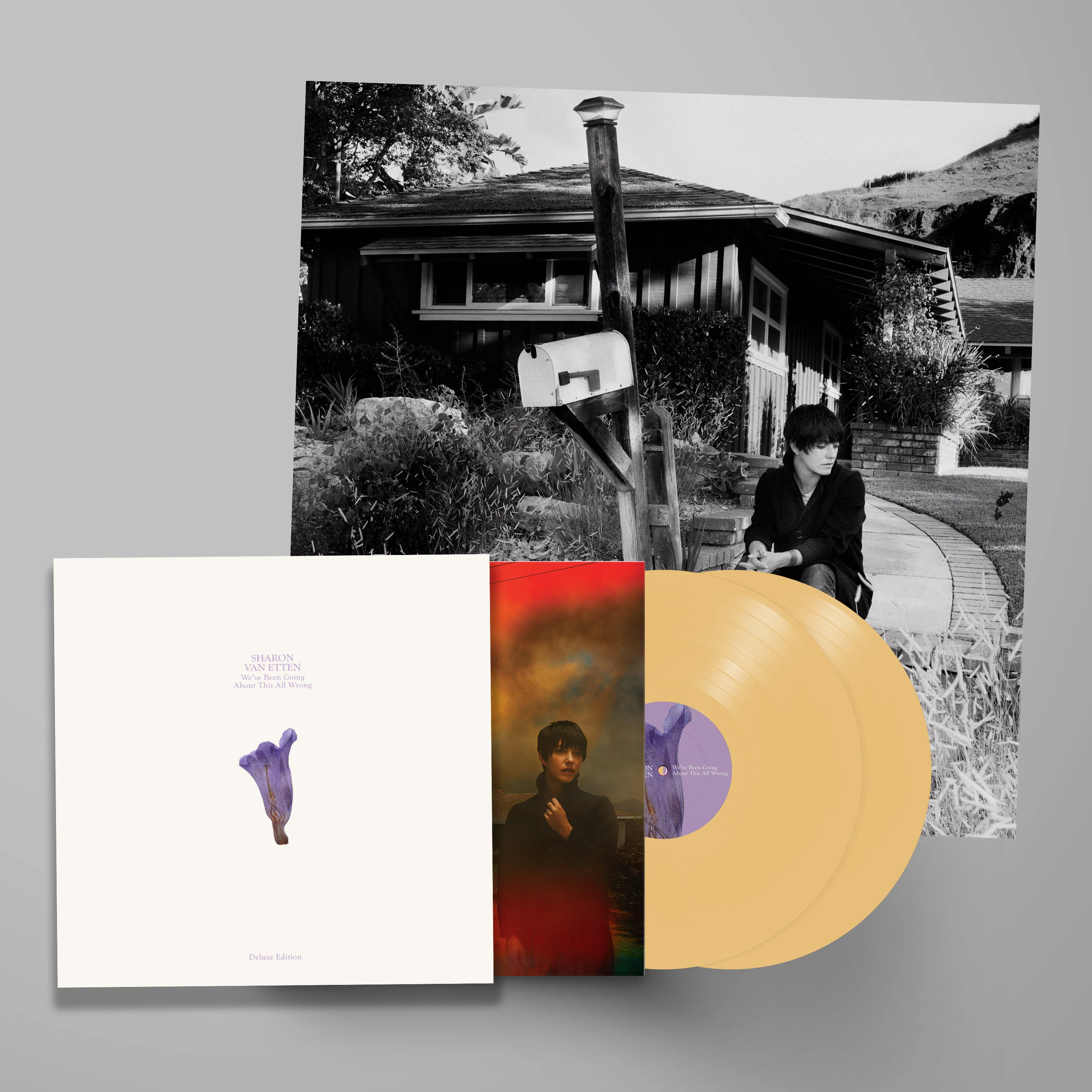 We've Been Going About This All Wrong (Deluxe Edition) - Image 2