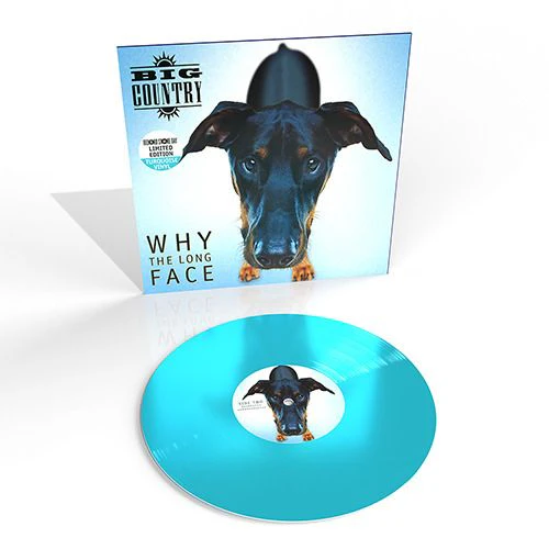 Why The Long Face? (RSD 2024) - Image 2